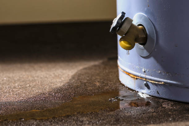 Best Sewage cleanup and water damage restoration  in Quitman, TX