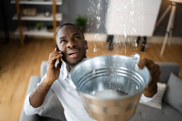 Best Sewage cleanup and water damage restoration  in Quitman, TX