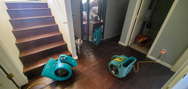 Best Local water damage restoration  in Quitman, TX