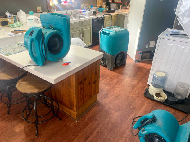 Best Water damage cleanup near me  in Quitman, TX