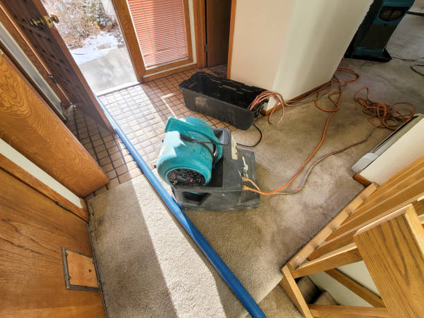 Water damage restoration insurance claims in Quitman, TX