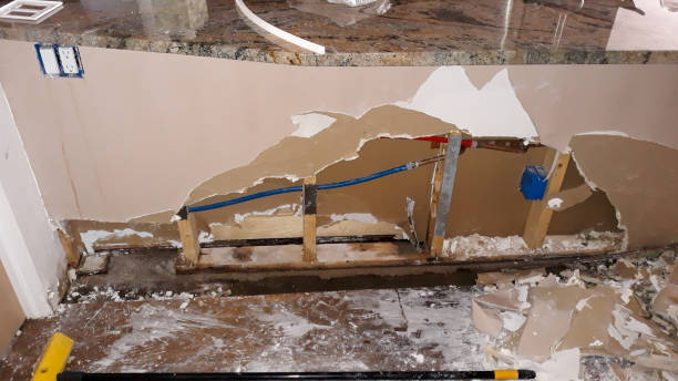 Best Flood damage cleanup  in Quitman, TX