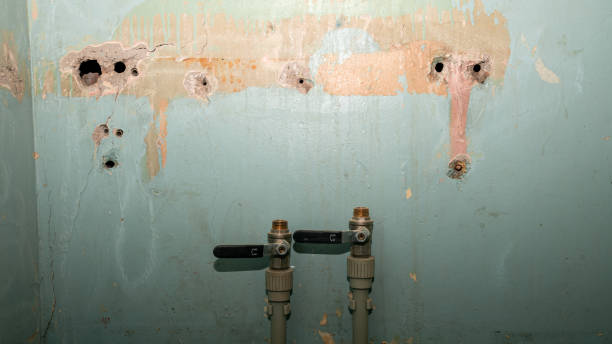 Best Water damage restoration mold remediation  in Quitman, TX