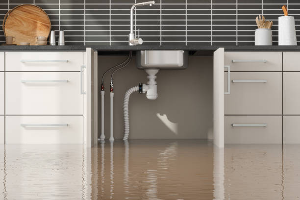 Best Water damage restoration near me  in Quitman, TX