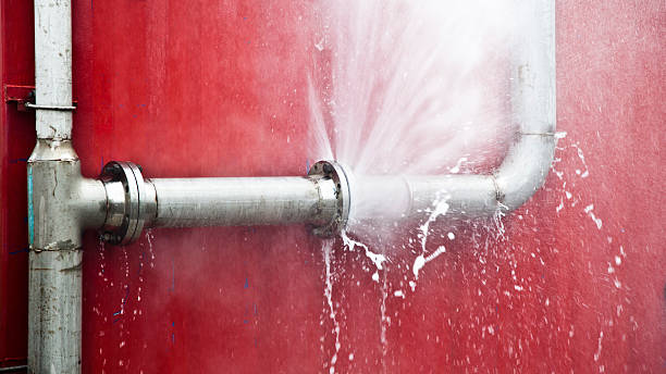 Best Local water damage restoration  in Quitman, TX